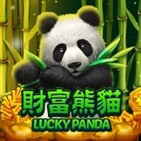  Lucky Panda