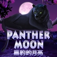  Panther Moon