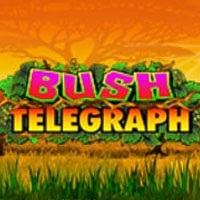 Bush Telegraph